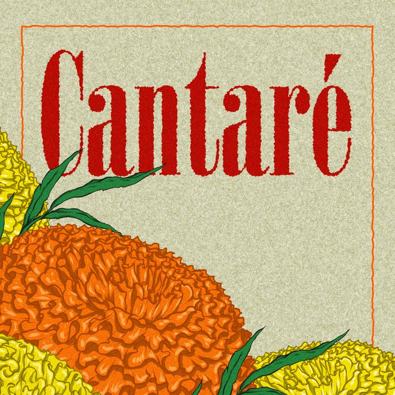 cantare-800×800